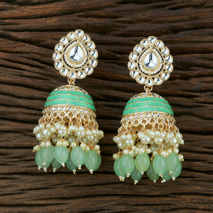 Indo Western Meenakari Earring With Gold Plating 108691