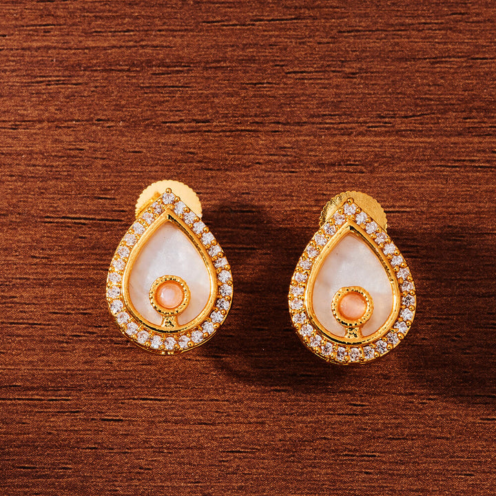 Antique Mother Of Pearl Earring With Gold Plating 221531