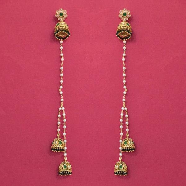 228724 Antique Kashmiri Earring With Gold Plating