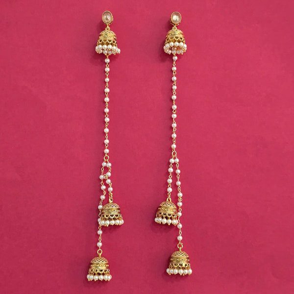 228726 Antique Kashmiri Earring With Gold Plating