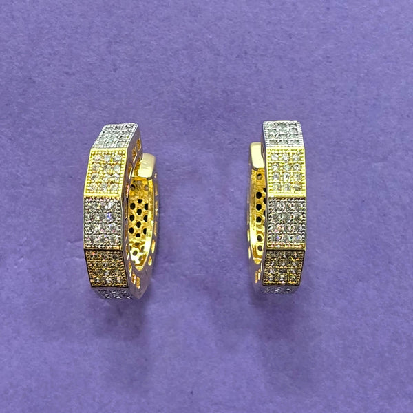 438578 Cz Delicate Earring With 2 Tone Plating