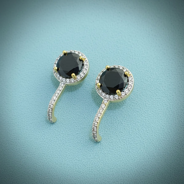 440876 Cz Delicate Earring With 2 Tone Plating